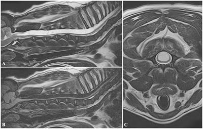 Prevalence of neurological diseases associated with cervical pain and/or signs of cervical myelopathy in French bulldogs: a retrospective analysis of 105 cases
